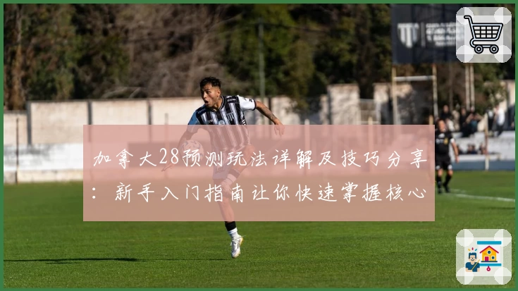 加拿大28预测玩法详解及技巧分享：新手入门指南让你快速掌握核心规律