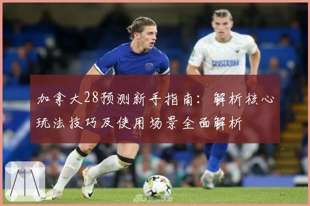 加拿大28预测新手指南：解析核心玩法技巧及使用场景全面解析