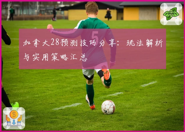 加拿大28预测技巧分享：玩法解析与实用策略汇总