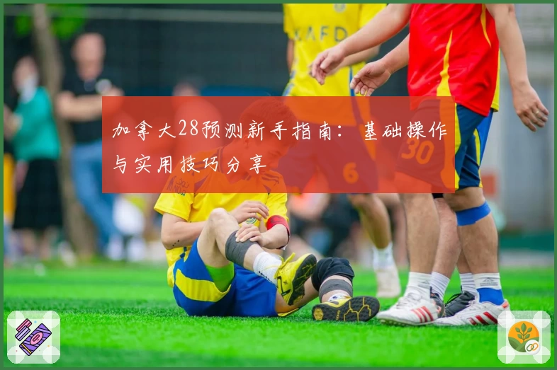 加拿大28预测新手指南：基础操作与实用技巧分享