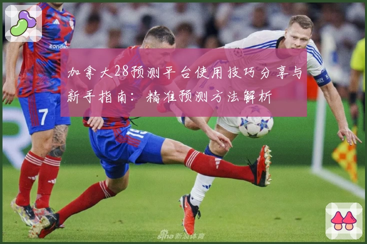 加拿大28预测平台使用技巧分享与新手指南:精准预测方法解析