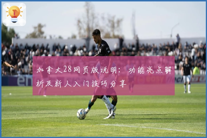 加拿大28网页版说明：功能亮点解析及新人入门技巧分享