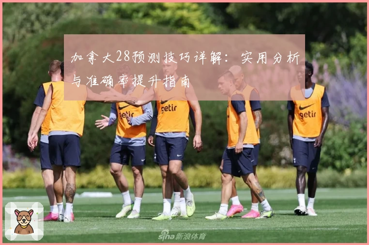 加拿大28预测技巧详解：实用分析与准确率提升指南