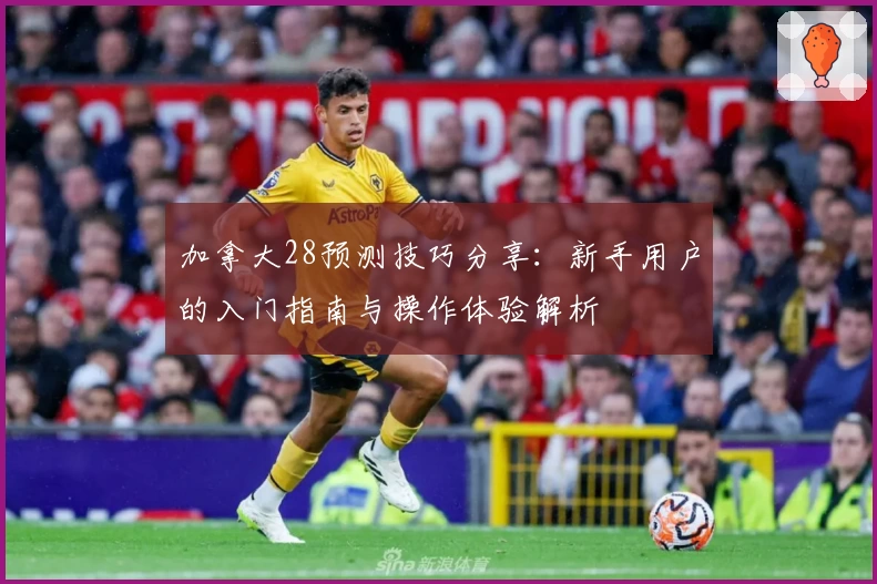 加拿大28预测技巧分享：新手用户的入门指南与操作体验解析