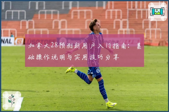 加拿大28预测新用户入门指南：基础操作说明与实用技巧分享