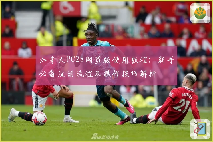 加拿大PC28网页版使用教程：新手必备注册流程及操作技巧解析