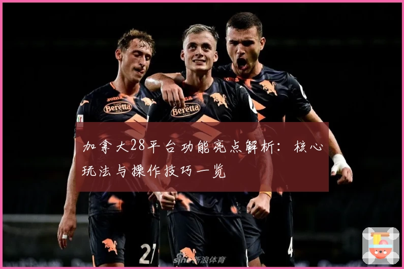 加拿大28平台功能亮点解析：核心玩法与操作技巧一览