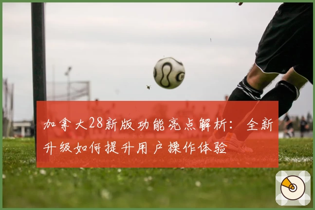 加拿大28新版功能亮点解析：全新升级如何提升用户操作体验